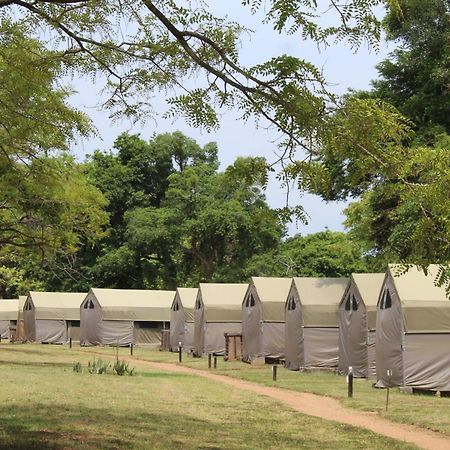 Lions Rock Rapids - Lodge Hazyview Exteriör bild