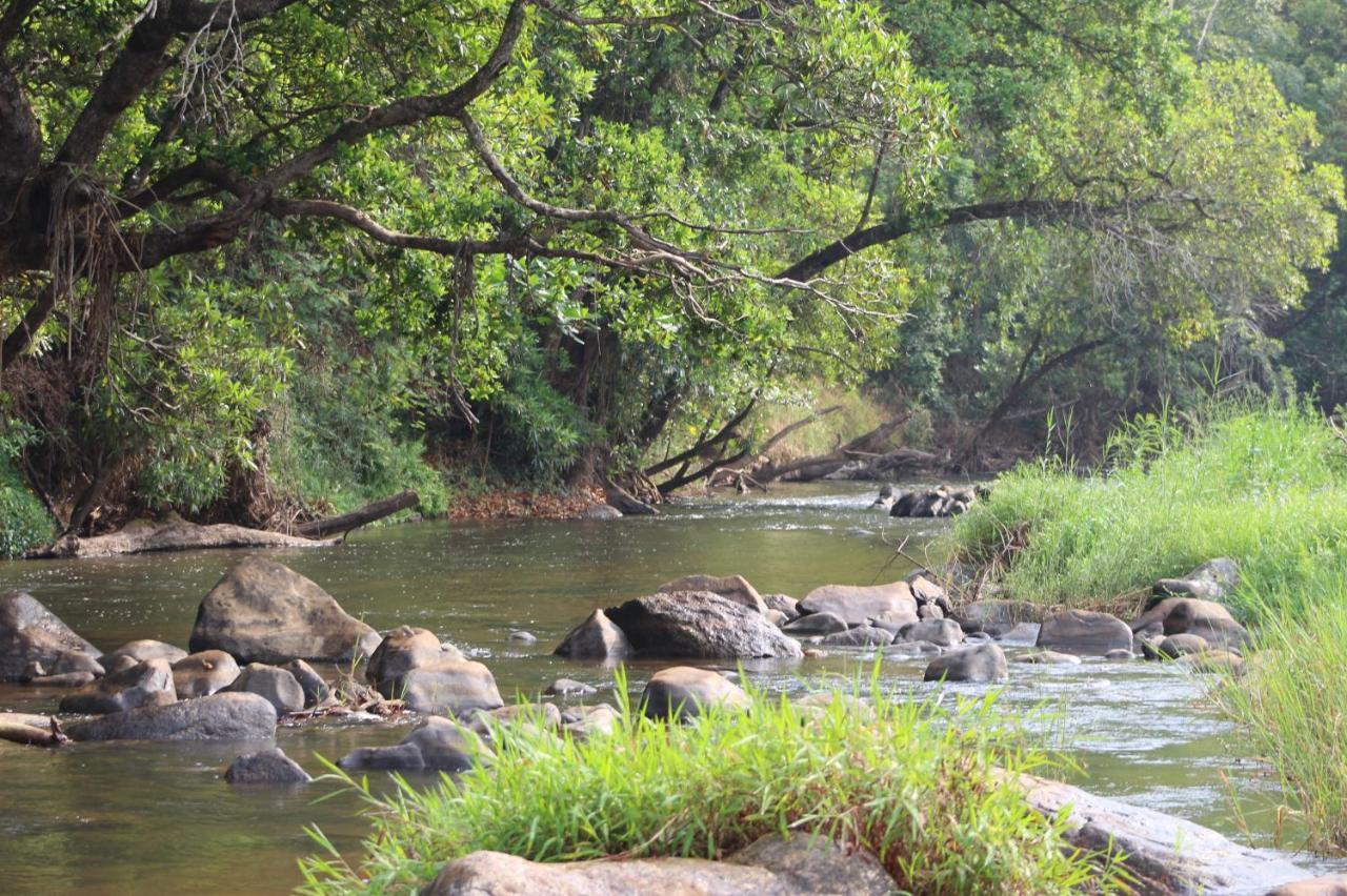 Lions Rock Rapids - Lodge Hazyview Exteriör bild