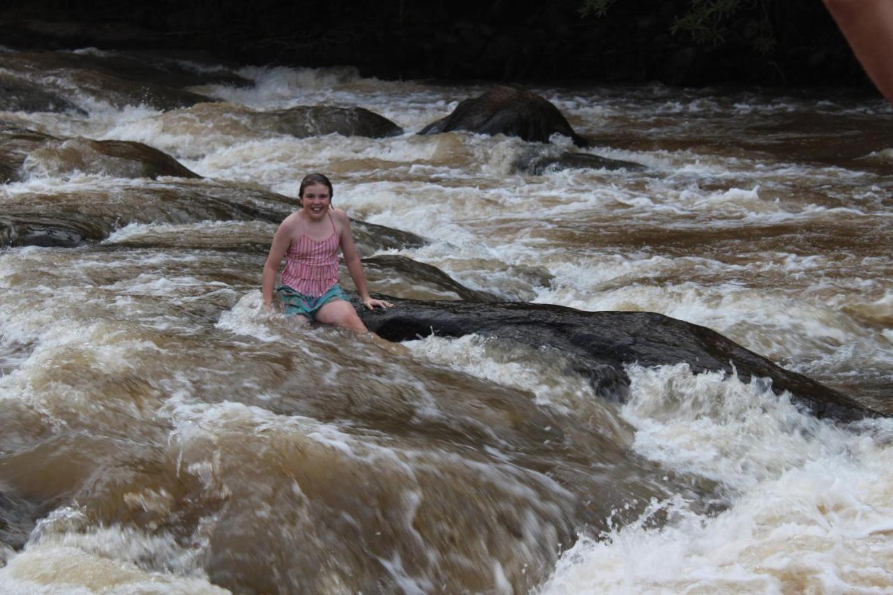 Lions Rock Rapids - Lodge Hazyview Exteriör bild