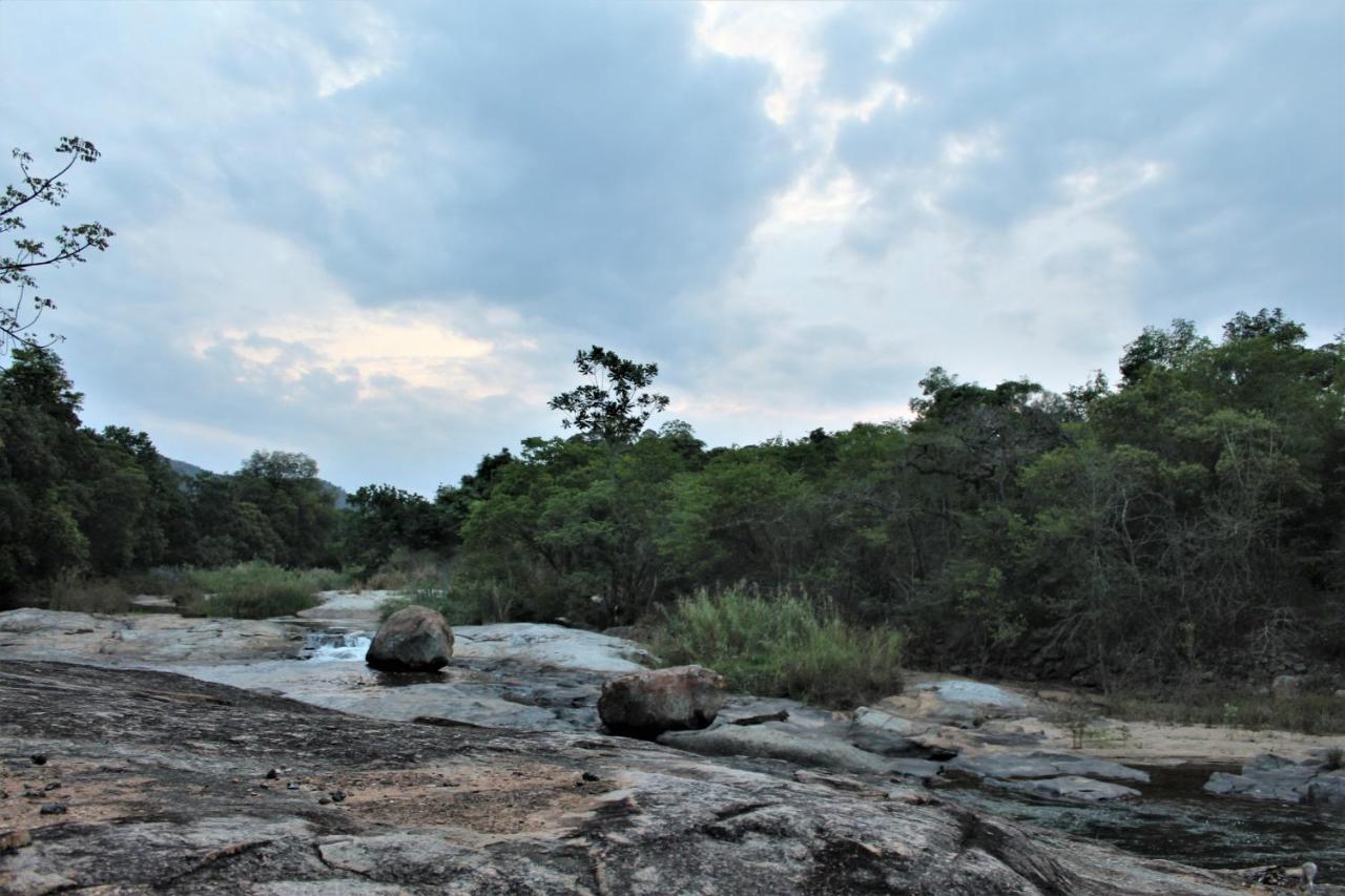Lions Rock Rapids - Lodge Hazyview Exteriör bild