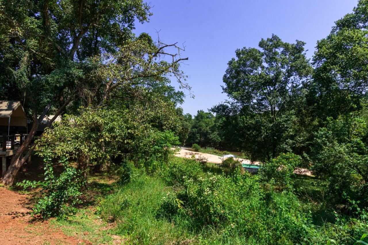 Lions Rock Rapids - Lodge Hazyview Exteriör bild